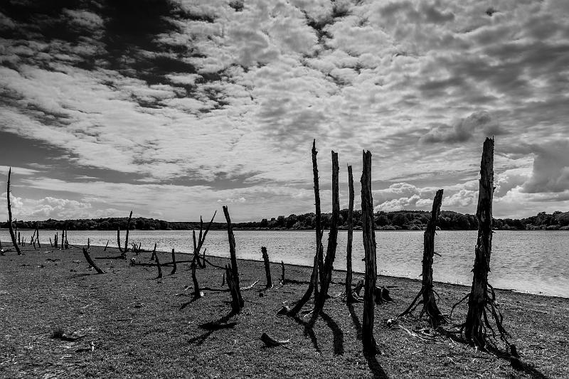 2019_05_26 _ Etang de Vaux(0030).jpg - Etang de Vaux (Mai 2019)